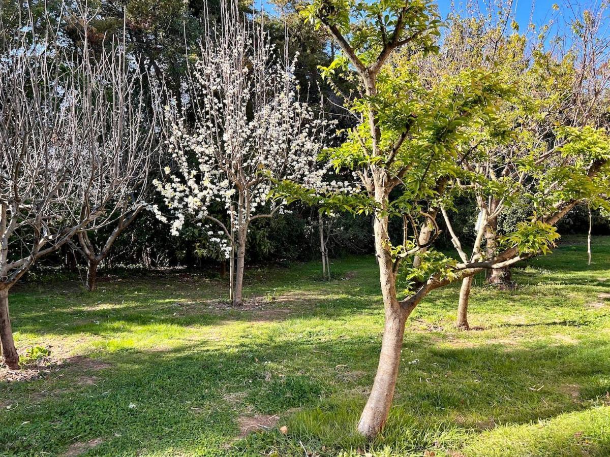 Appartement Sejour Detente Avec Piscine